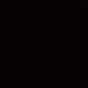 Meet your Posher, Jasmin